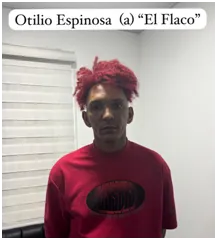 flaco