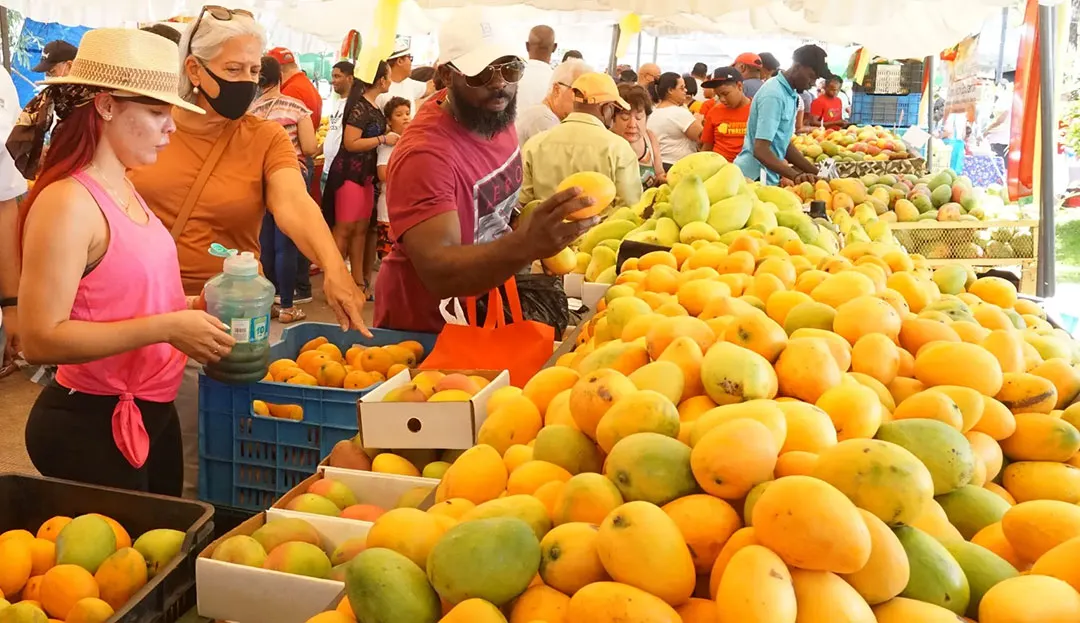 EXPO MANGOS 2024, EL EXPRESO RD