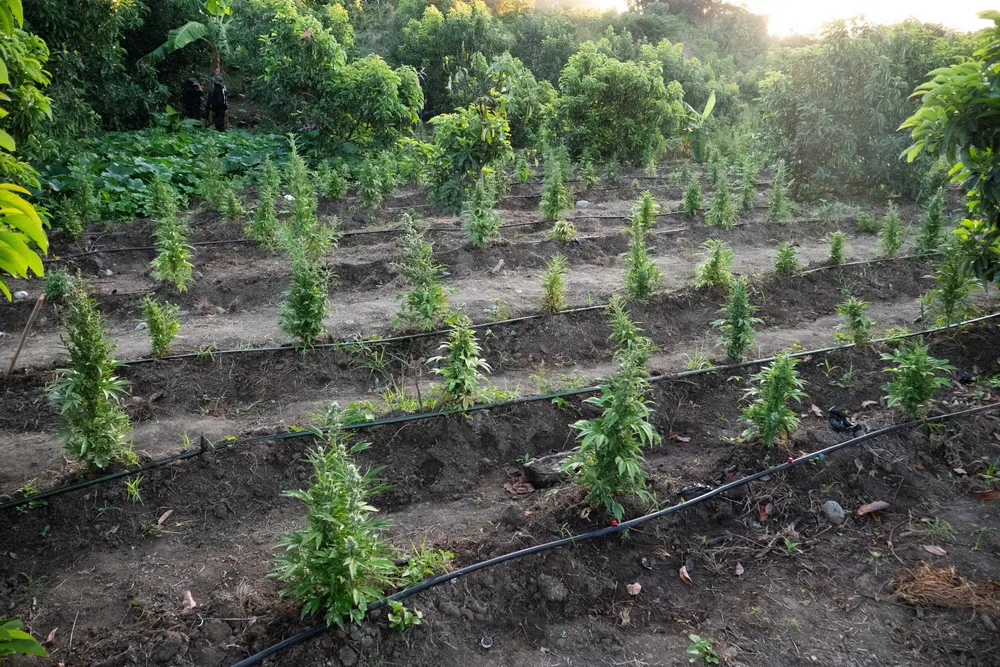 WhatsApp Image 2026-02-14 at 10.53.19 AM