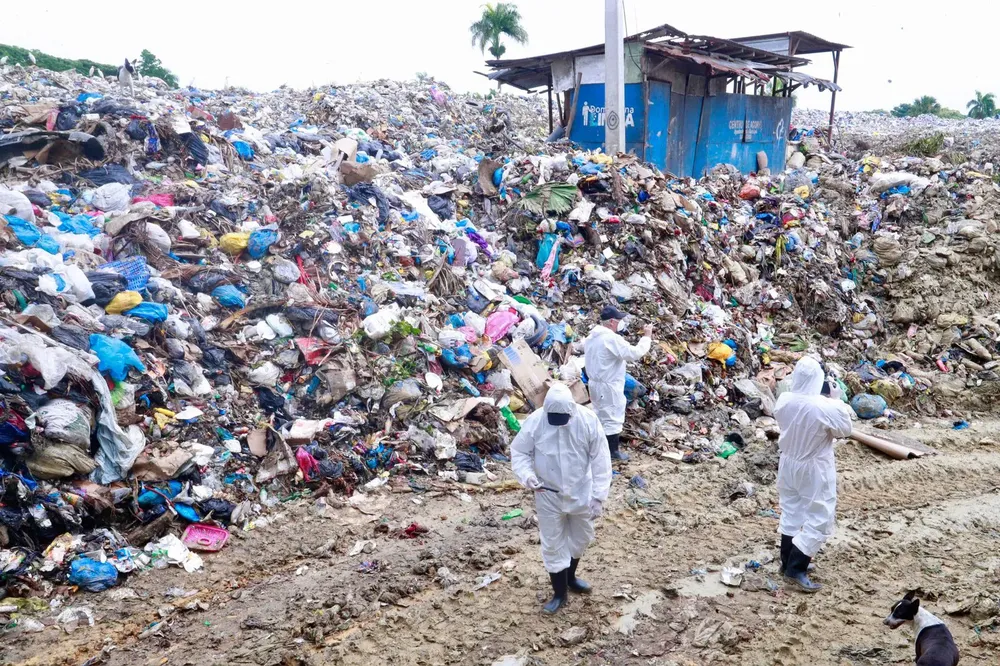 WhatsApp Image 2024-05-31 at 2.50.39 PM