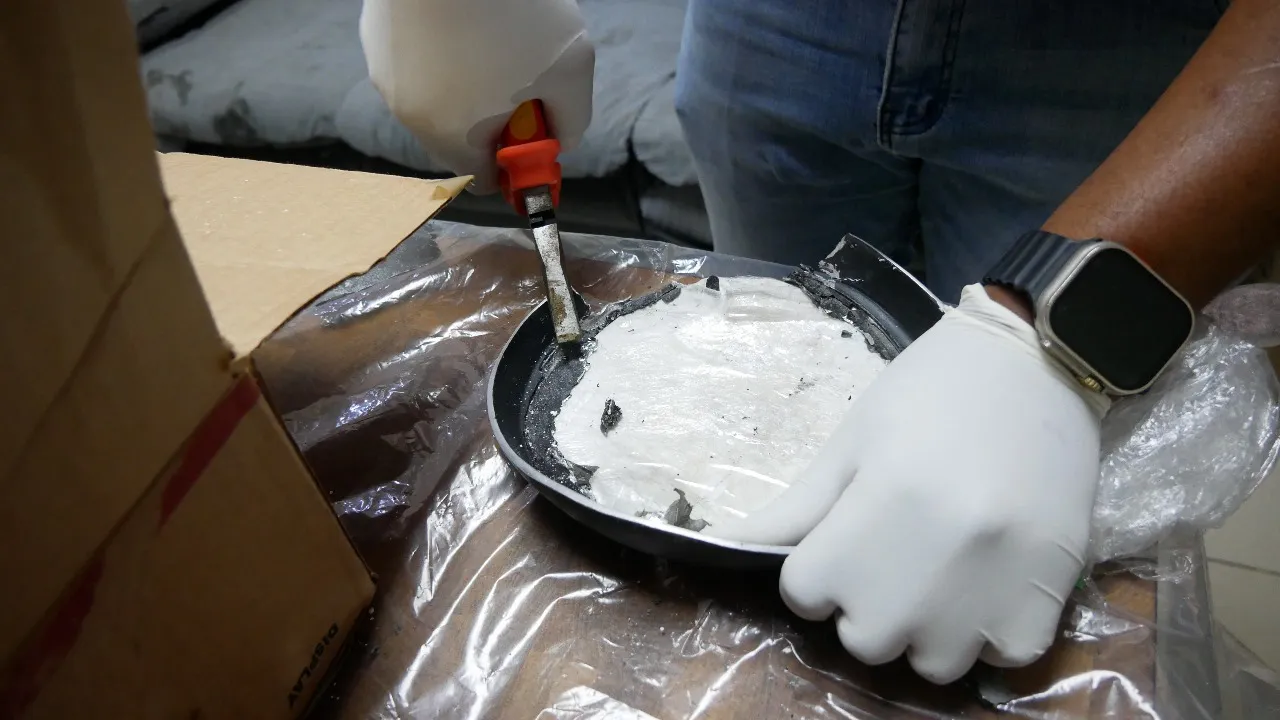 WhatsApp Image 2024-11-16 at 12.49.51 PM