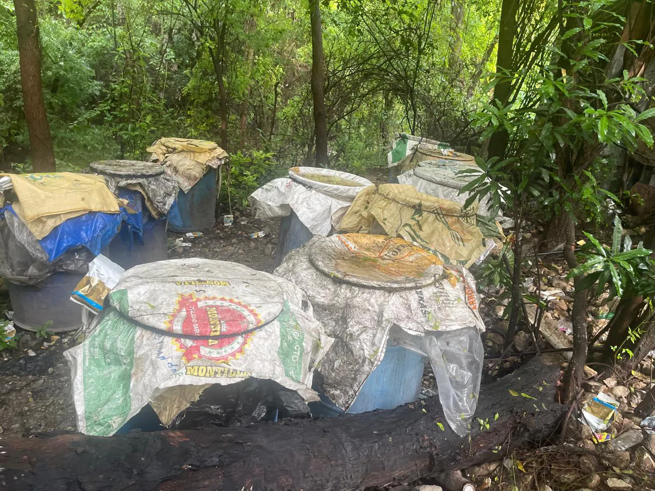 WhatsApp Image 2024-06-08 at 4.48.16 PM