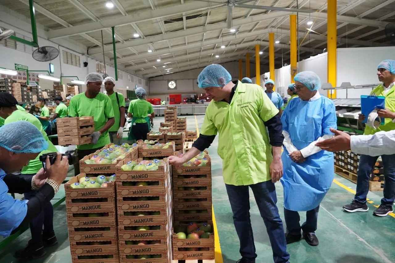 WhatsApp Image 2024-06-09 at 12.16.14 PM