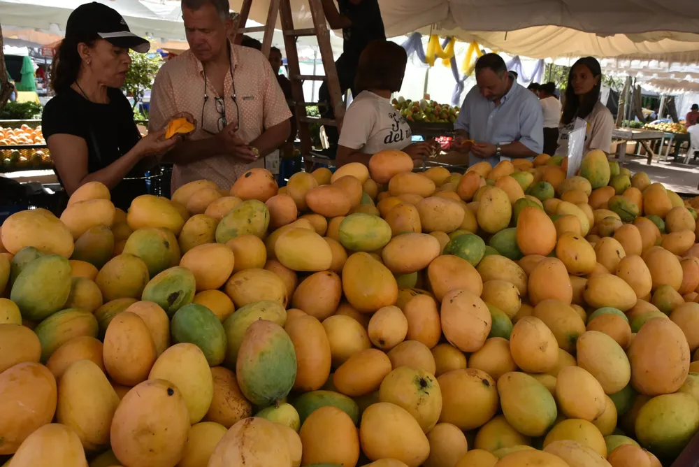 Expo Mango 2025 (2) (2)