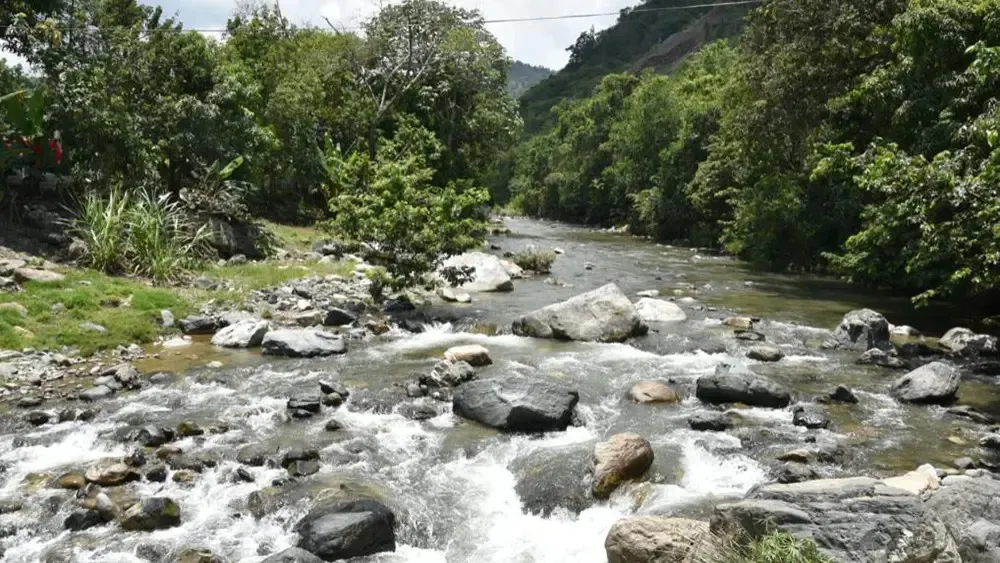 WhatsApp Image 2024-08-22 at 2.26.05 PM