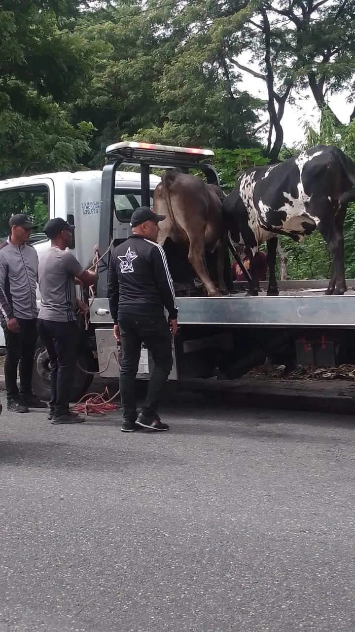 WhatsApp Image 2024-07-04 at 8.10.09 AM